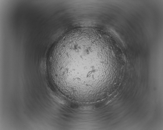 X0000073850202200608241051