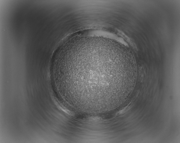 X0000073850203200608241051