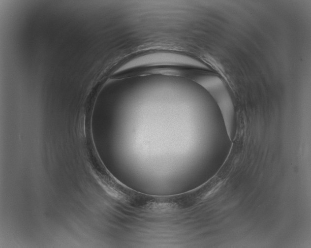 X0000073850205200608241051