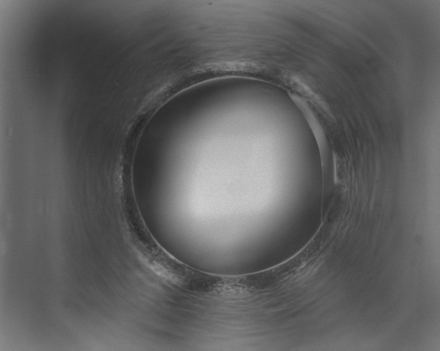 X0000073850207200608241051