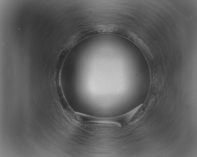 X0000073850209200608241051