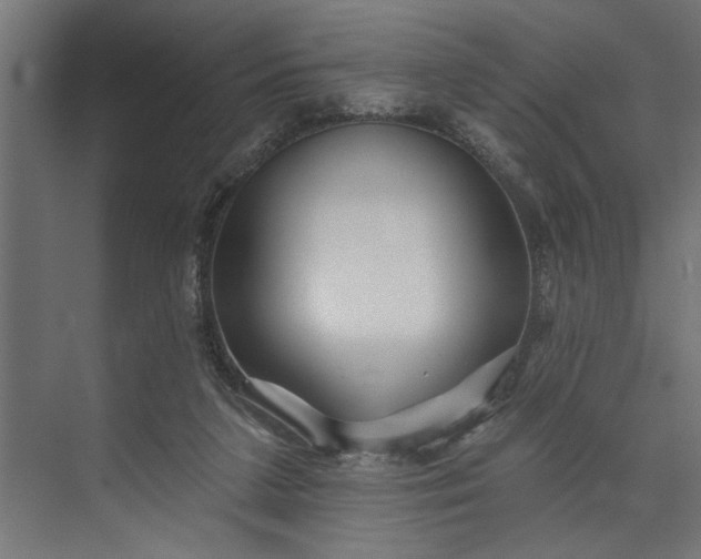 X0000073850211200608241051