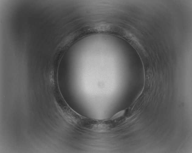 X0000073850212200608241051