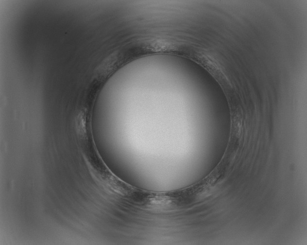 X0000073850214200608241051