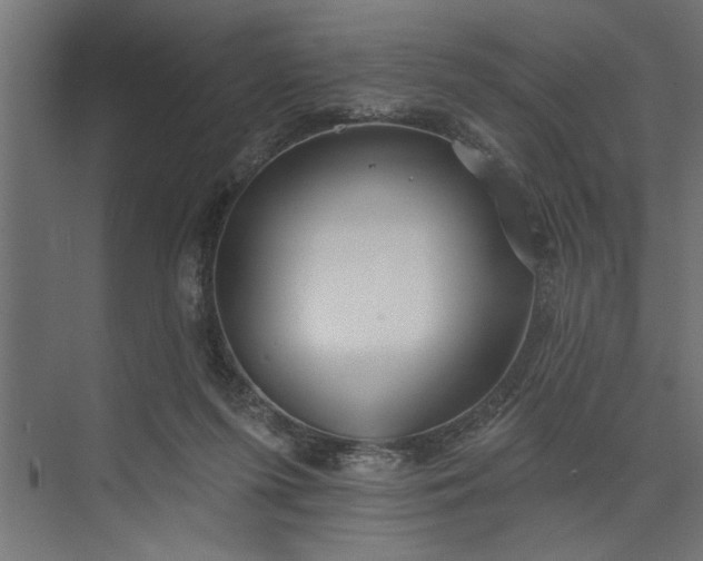 X0000073850215200608241051