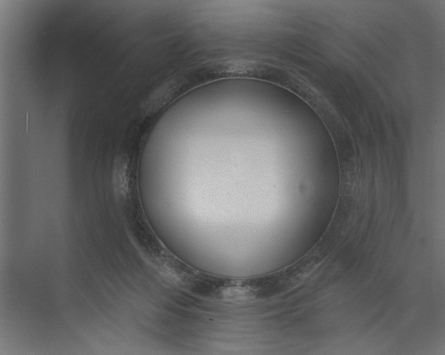 X0000073850216200608241051