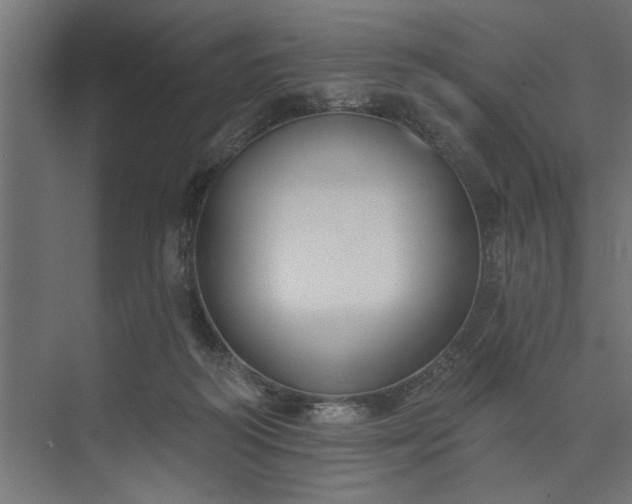 X0000073850218200608241051