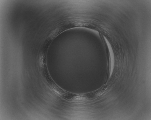 X0000073850219200608241051