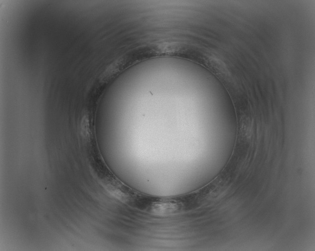 X0000073850220200608241051