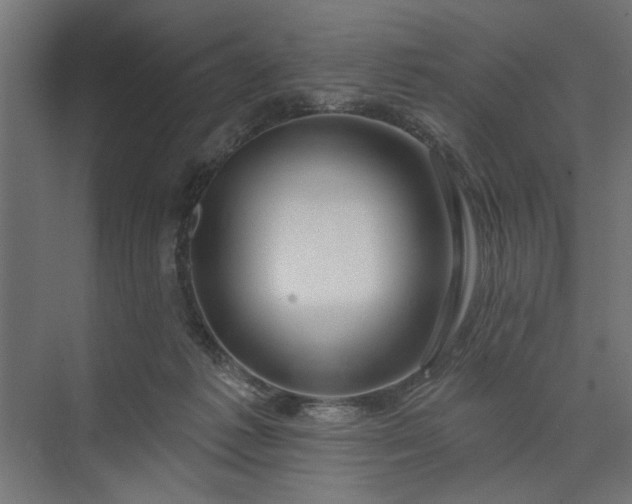 X0000073850221200608241051