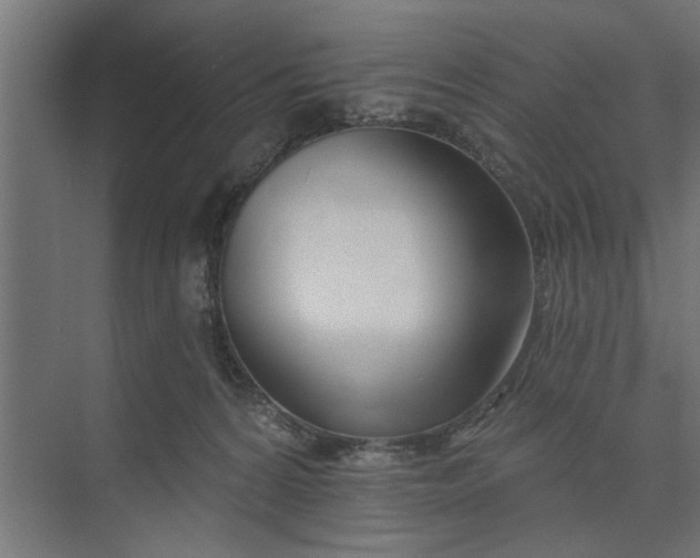 X0000073850224200608241051