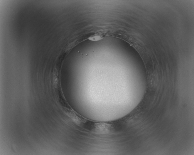 X0000073850226200608241051