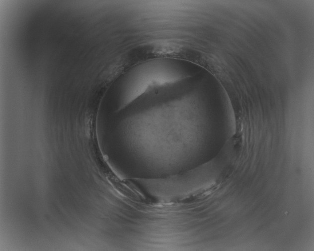 X0000073850227200608241051