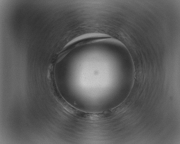 X0000073850229200608241051