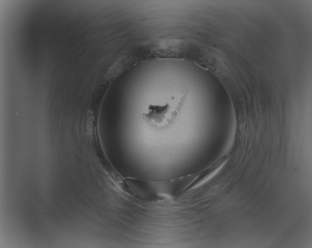 X0000073850231200608241051