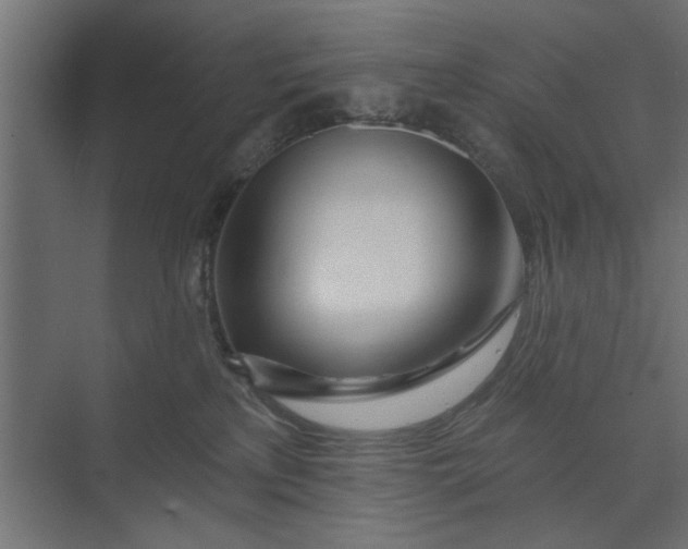 X0000073850233200608241051