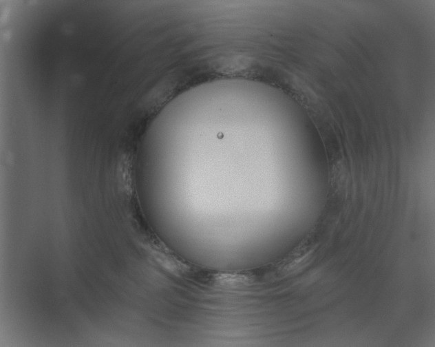 X0000073850234200608241051