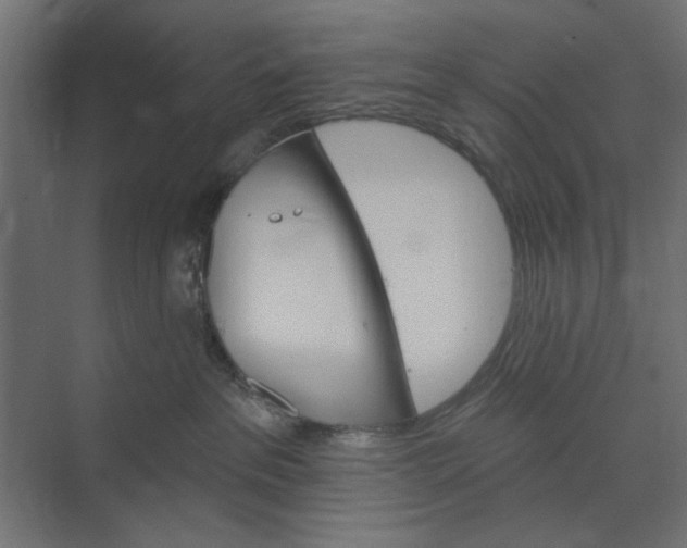 X0000073850237200608241051