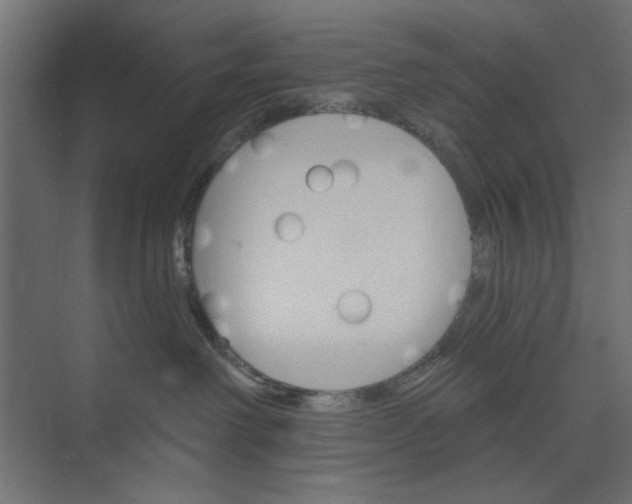 X0000073850238200608241051