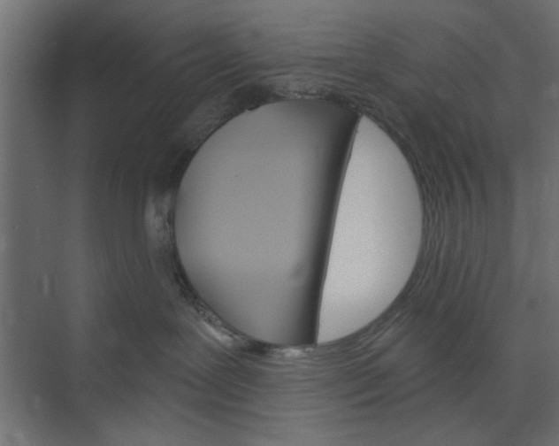 X0000073850239200608241051