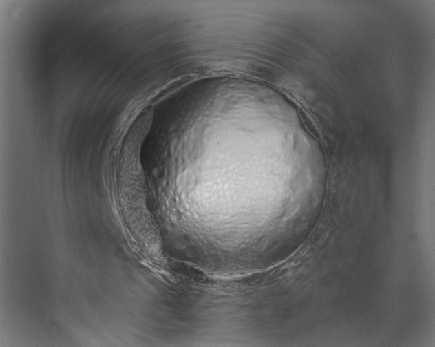 X0000073850241200608241050