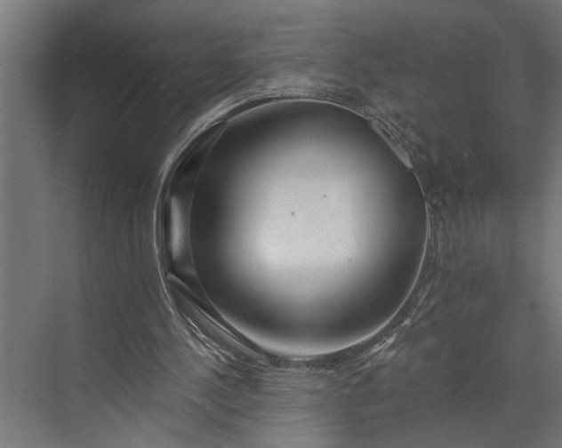 X0000073850244200608241050