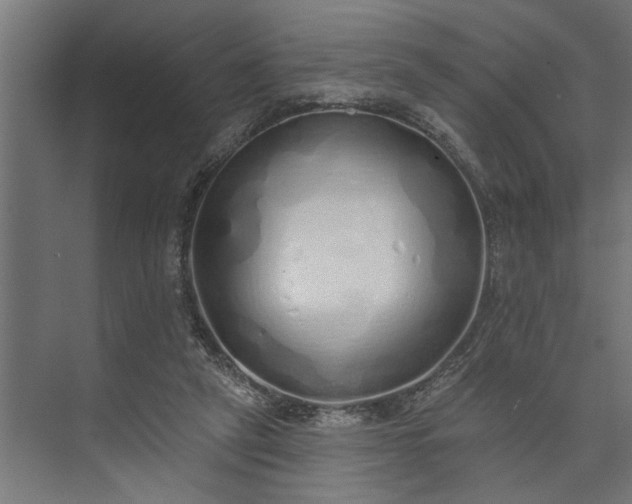 X0000073850257200608241050