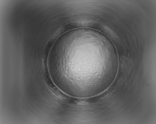 X0000073850258200608241050