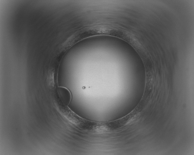 X0000073850262200608241050