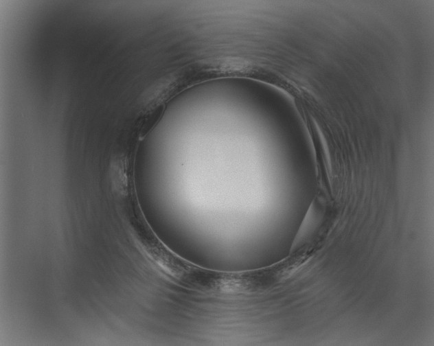 X0000073850264200608241050