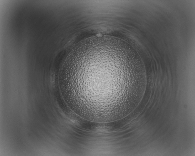 X0000073850268200608241050