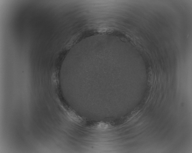 X0000073850272200608241050