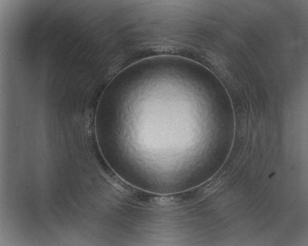 X0000073850273200608241050