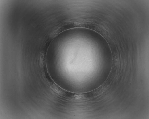 X0000073850275200608241050