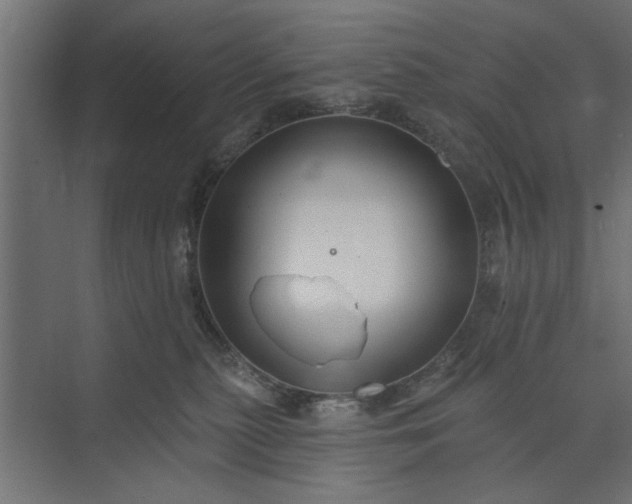 X0000073850279200608241050