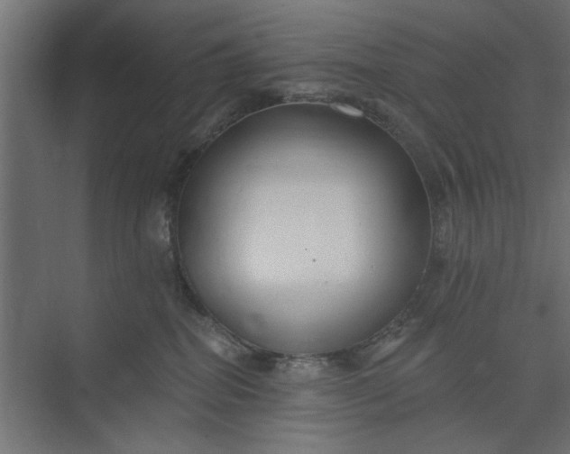 X0000073850282200608241050