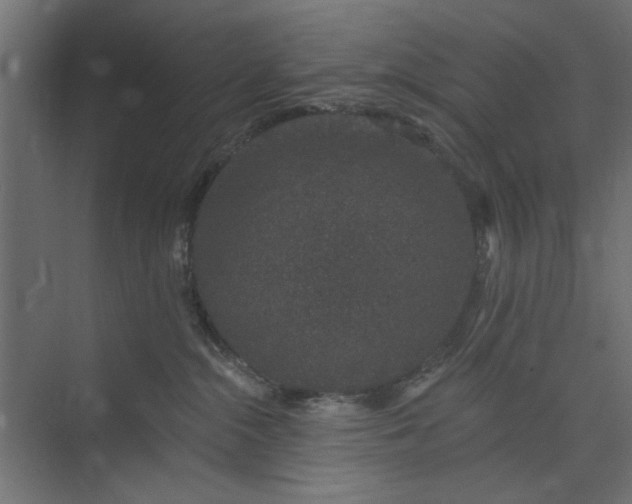 X0000073850284200608241050