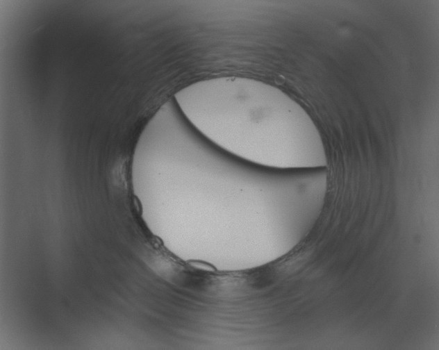 X0000073850286200608241050