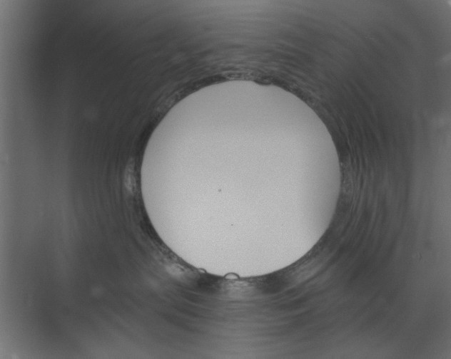 X0000073850287200608241050