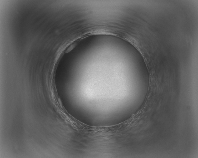 X0000073850289200608241050