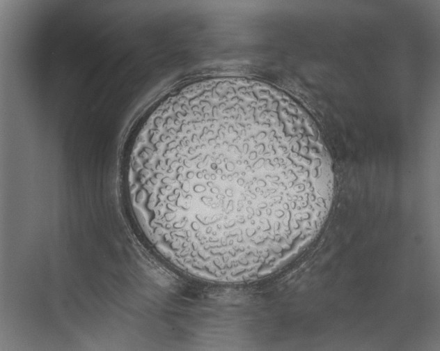 X0000073850293200608241050