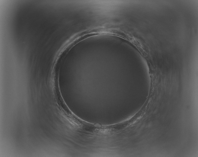 X0000073850295200608241050