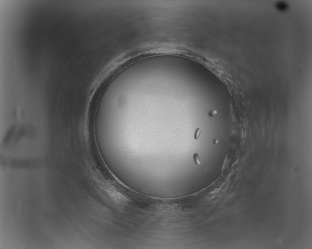 X0000073850296200608241050