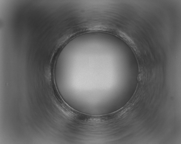 X0000073850298200608241050