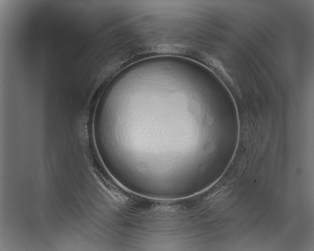 X0000073850299200608241050