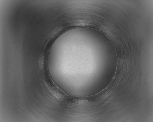 X0000073850304200608241049