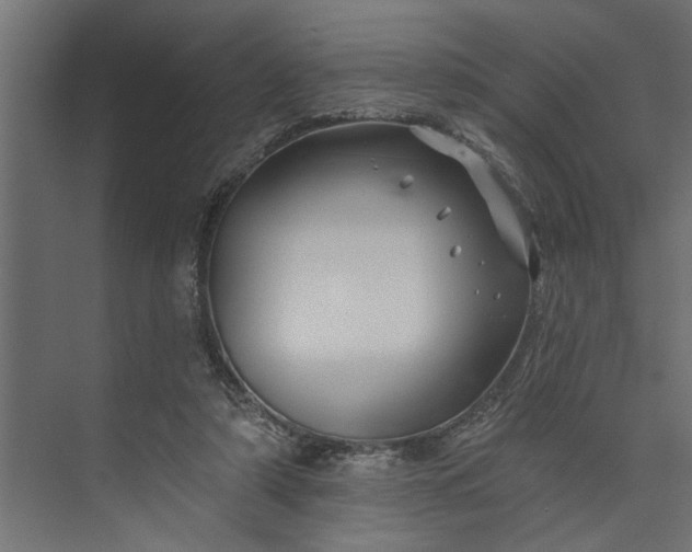 X0000073850306200608241049