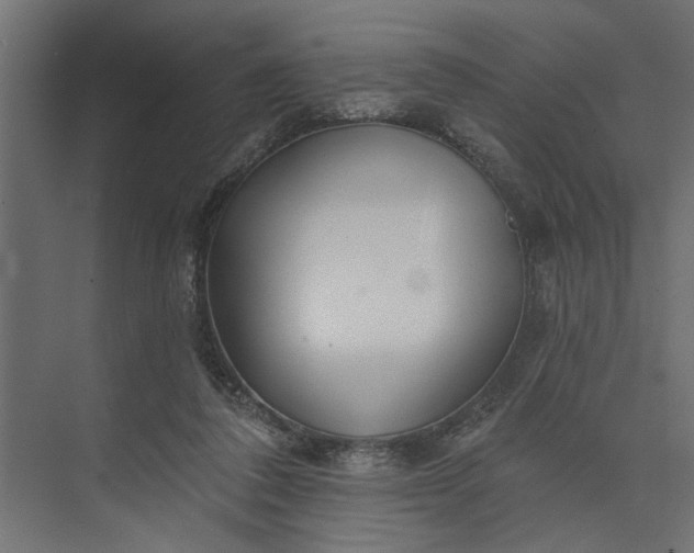 X0000073850308200608241049