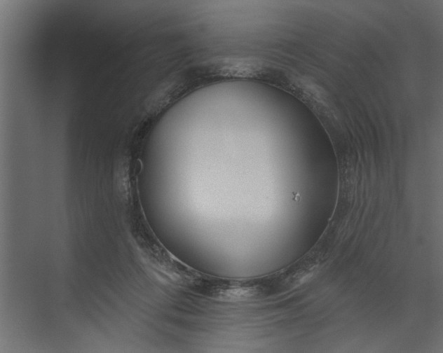 X0000073850312200608241049