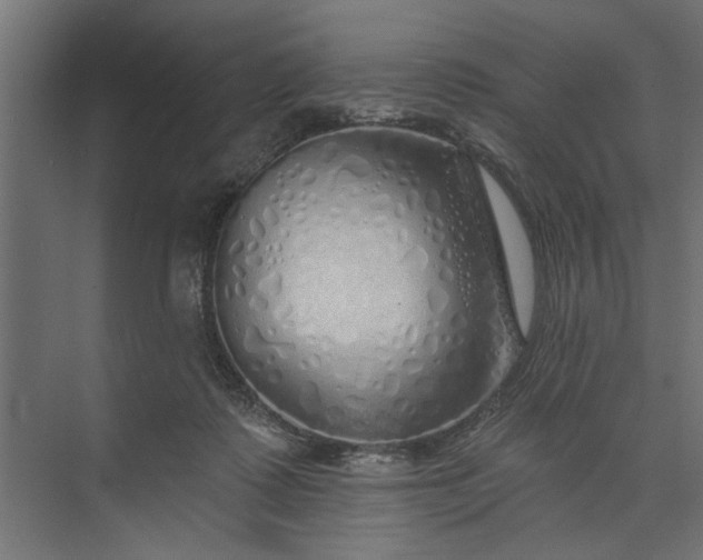 X0000073850315200608241049